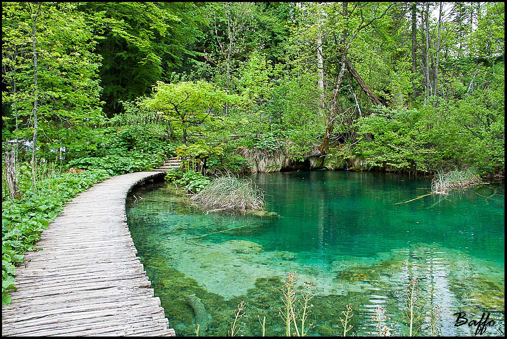 Laghi di Plitvice-Croazia-